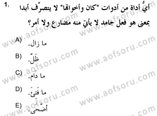 Arapça 2 (APÇ) Dersi 2020 - 2021 Yılı Yaz Okulu Sınav Soruları 1. Soru