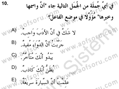 Arapça 2 (APÇ) Dersi 2020 - 2021 Yılı Yaz Okulu Sınavı 10. Soru
