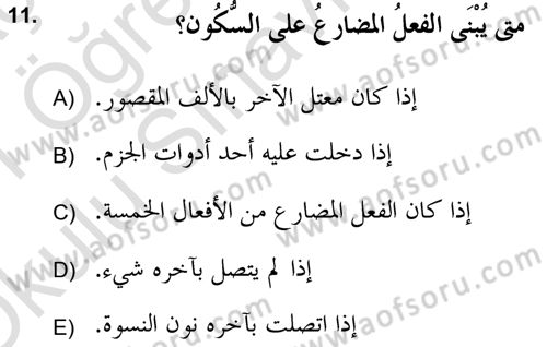 Arapça 2 (APÇ) Dersi 2020 - 2021 Yılı Yaz Okulu Sınav Soruları 11. Soru