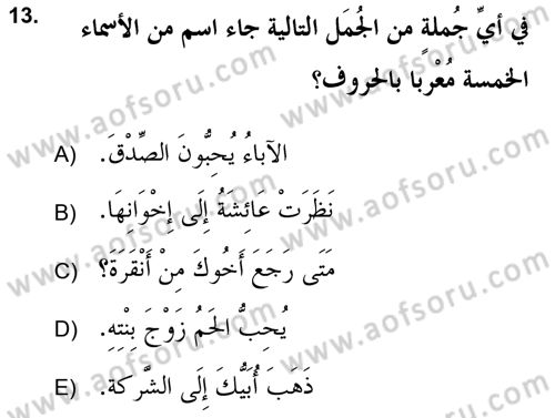 Arapça 2 (APÇ) Dersi 2020 - 2021 Yılı Yaz Okulu Sınav Soruları 13. Soru