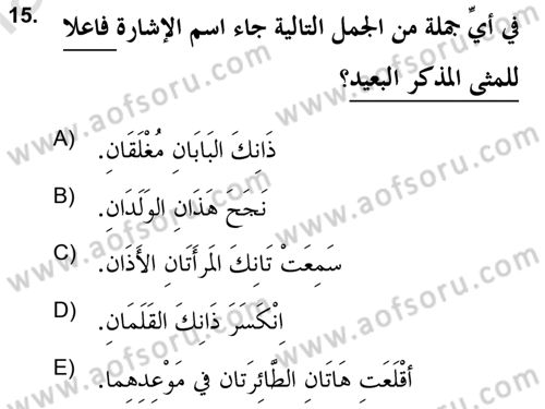 Arapça 2 (APÇ) Dersi 2020 - 2021 Yılı Yaz Okulu Sınav Soruları 15. Soru
