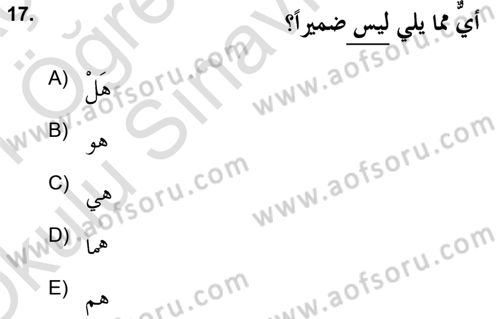 Arapça 2 (APÇ) Dersi 2020 - 2021 Yılı Yaz Okulu Sınav Soruları 17. Soru