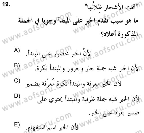 Arapça 2 (APÇ) Dersi 2020 - 2021 Yılı Yaz Okulu Sınav Soruları 19. Soru