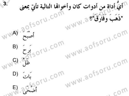 Arapça 2 (APÇ) Dersi 2020 - 2021 Yılı Yaz Okulu Sınav Soruları 3. Soru