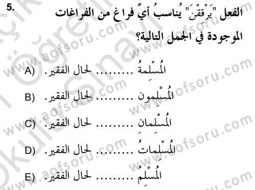 Arapça 2 (APÇ) Dersi 2020 - 2021 Yılı Yaz Okulu Sınav Soruları 5. Soru
