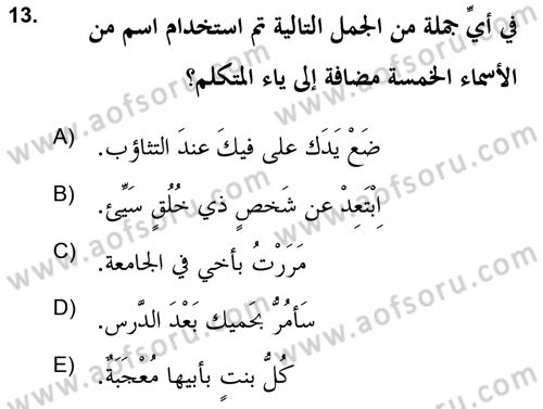 Arapça 2 (APÇ) Dersi 2021 - 2022 Yılı (Vize) Ara Sınav Soruları 13. Soru