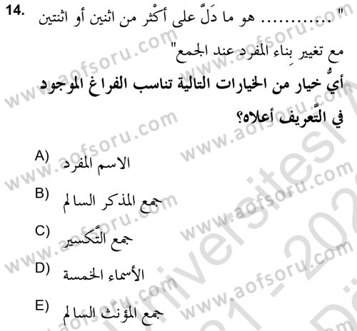 Arapça 2 (APÇ) Dersi 2021 - 2022 Yılı (Vize) Ara Sınav Soruları 14. Soru