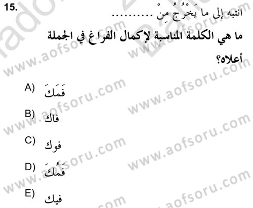 Arapça 2 (APÇ) Dersi 2021 - 2022 Yılı (Vize) Ara Sınav Soruları 15. Soru