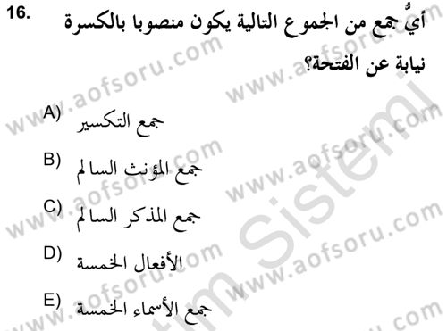 Arapça 2 (APÇ) Dersi 2021 - 2022 Yılı (Vize) Ara Sınav Soruları 16. Soru