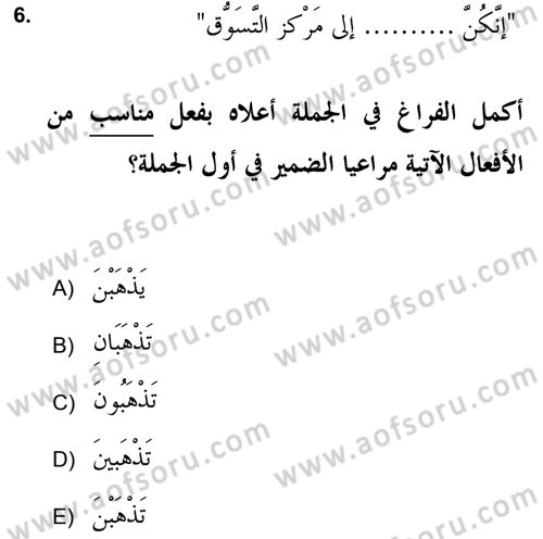 Arapça 2 (APÇ) Dersi 2021 - 2022 Yılı (Vize) Ara Sınav Soruları 6. Soru