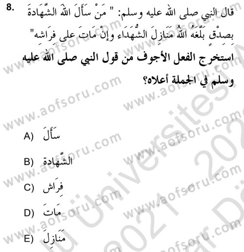 Arapça 2 (APÇ) Dersi 2021 - 2022 Yılı (Vize) Ara Sınav Soruları 8. Soru
