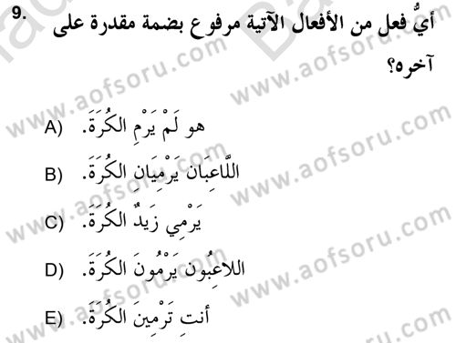 Arapça 2 (APÇ) Dersi 2021 - 2022 Yılı (Vize) Ara Sınav Soruları 9. Soru