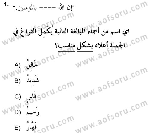 Arapça 2 (APÇ) Dersi 2021 - 2022 Yılı (Final) Dönem Sonu Sınavı 1. Soru