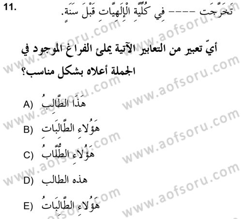 Arapça 2 (APÇ) Dersi 2021 - 2022 Yılı (Final) Dönem Sonu Sınavı 11. Soru