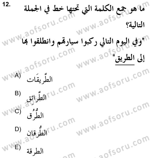 Arapça 2 (APÇ) Dersi 2021 - 2022 Yılı (Final) Dönem Sonu Sınavı 12. Soru
