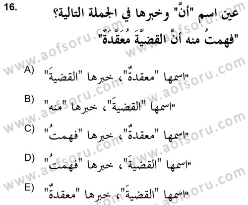Arapça 2 (APÇ) Dersi 2021 - 2022 Yılı (Final) Dönem Sonu Sınavı 16. Soru
