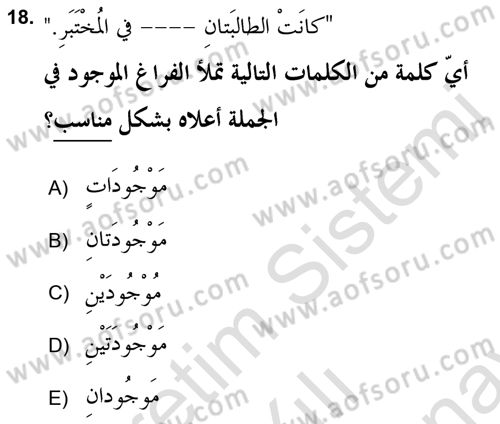 Arapça 2 (APÇ) Dersi 2021 - 2022 Yılı (Final) Dönem Sonu Sınavı 18. Soru