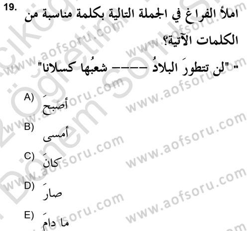 Arapça 2 (APÇ) Dersi 2021 - 2022 Yılı (Final) Dönem Sonu Sınavı 19. Soru