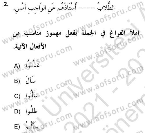 Arapça 2 (APÇ) Dersi 2021 - 2022 Yılı (Final) Dönem Sonu Sınavı 2. Soru