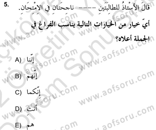 Arapça 2 (APÇ) Dersi 2021 - 2022 Yılı (Final) Dönem Sonu Sınavı 5. Soru