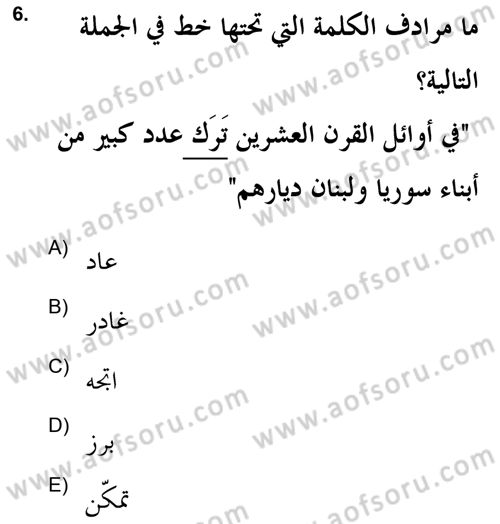 Arapça 2 (APÇ) Dersi 2021 - 2022 Yılı (Final) Dönem Sonu Sınavı 6. Soru