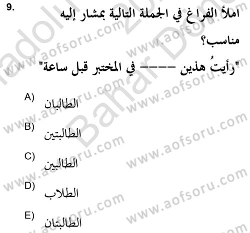 Arapça 2 (APÇ) Dersi 2021 - 2022 Yılı (Final) Dönem Sonu Sınavı 9. Soru