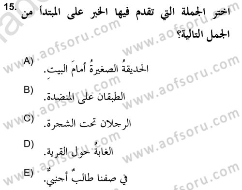 Arapça 2 (APÇ) Dersi 2021 - 2022 Yılı Yaz Okulu Sınav Soruları 15. Soru