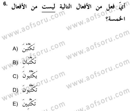Arapça 2 (APÇ) Dersi 2021 - 2022 Yılı Yaz Okulu Sınav Soruları 6. Soru