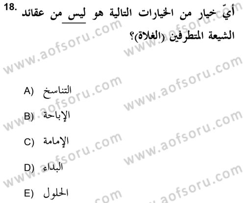 İslam Mezhepleri Tarihi Dersi 2019 - 2020 Yılı (Vize) Ara Sınav Soruları 18. Soru
