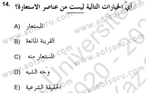 Tefsir Tarihi ve Usulü Dersi 2020 - 2021 Yılı Yaz Okulu Sınav Soruları 14. Soru