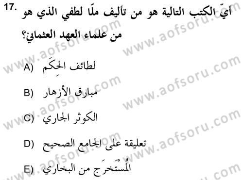 Hadis Tarihi ve Usulü Dersi 2017 - 2018 Yılı (Vize) Ara Sınav Soruları 17. Soru