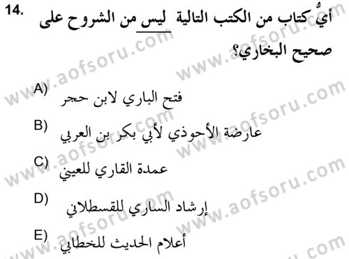 Hadis Tarihi ve Usulü Dersi 2021 - 2022 Yılı Yaz Okulu Sınav Soruları 14. Soru