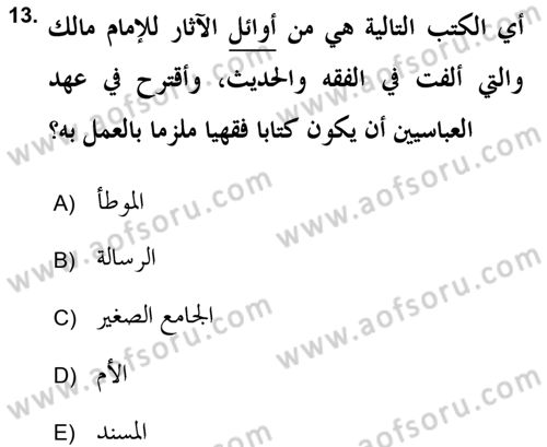 İslam Hukukuna Giriş Dersi 2017 - 2018 Yılı (Vize) Ara Sınav Soruları 13. Soru
