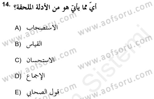İslam Hukukuna Giriş Dersi 2018 - 2019 Yılı (Vize) Ara Sınav Soruları 14. Soru