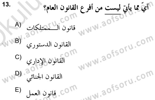 İslam Hukukuna Giriş Dersi 2020 - 2021 Yılı Yaz Okulu Sınav Soruları 13. Soru