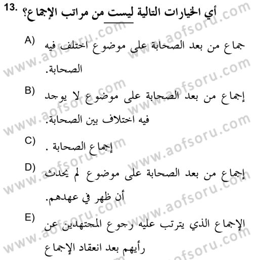 İslam Hukukuna Giriş Dersi 2021 - 2022 Yılı (Vize) Ara Sınav Soruları 13. Soru