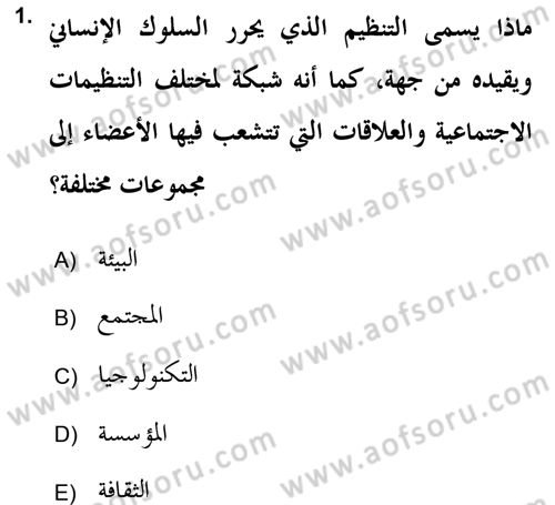 Islam Kurumlari ve Medeniyeti Dersi 2018 - 2019 Yılı (Vize) Ara Sınav Soruları 1. Soru