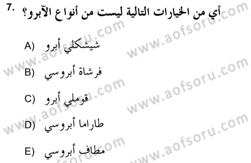 İslam Sanatları Tarihi Dersi 2017 - 2018 Yılı (Final) Dönem Sonu Sınav Soruları 7. Soru