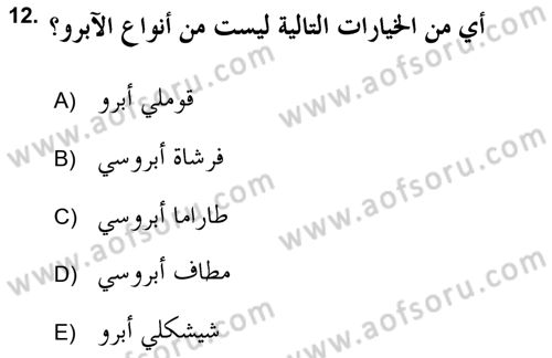 İslam Sanatları Tarihi Dersi 2018 - 2019 Yılı Yaz Okulu Sınav Soruları 12. Soru