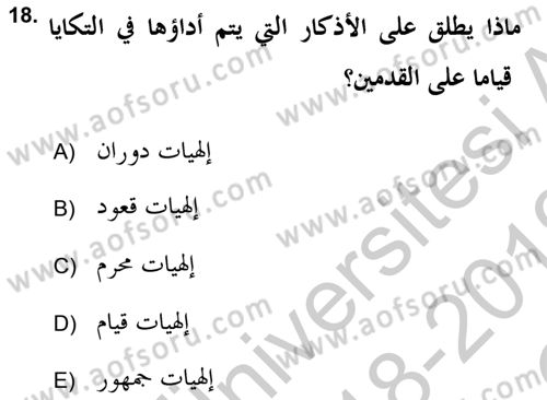 İslam Sanatları Tarihi Dersi 2018 - 2019 Yılı Yaz Okulu Sınav Soruları 18. Soru