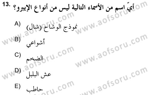 İslam Sanatları Tarihi Dersi 2020 - 2021 Yılı Yaz Okulu Sınav Soruları 13. Soru
