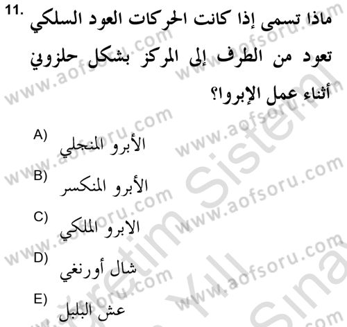 İslam Sanatları Tarihi Dersi 2021 - 2022 Yılı (Final) Dönem Sonu Sınav Soruları 11. Soru