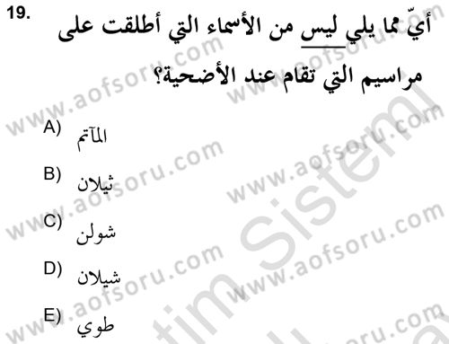 İslam Sanatları Tarihi Dersi 2021 - 2022 Yılı (Final) Dönem Sonu Sınav Soruları 19. Soru