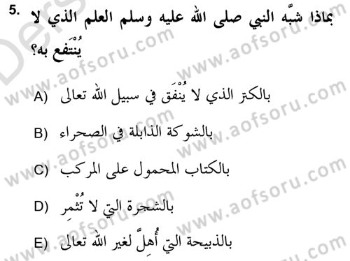 Hadis Dersi 2018 - 2019 Yılı 3 Ders Sınav Soruları 5. Soru