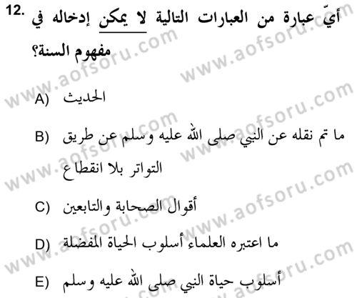 Hadis Dersi 2018 - 2019 Yılı (Vize) Ara Sınav Soruları 12. Soru