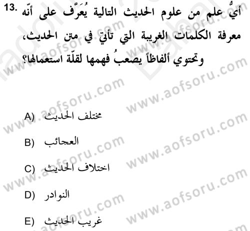 Hadis Dersi 2018 - 2019 Yılı (Vize) Ara Sınav Soruları 13. Soru