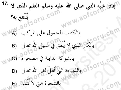 Hadis Dersi 2018 - 2019 Yılı (Vize) Ara Sınav Soruları 17. Soru