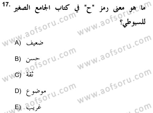 Hadis Dersi 2018 - 2019 Yılı (Final) Dönem Sonu Sınav Soruları 17. Soru