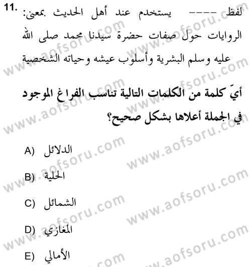 Hadis Dersi 2018 - 2019 Yılı Yaz Okulu Sınav Soruları 11. Soru