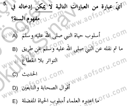 Hadis Dersi 2018 - 2019 Yılı Yaz Okulu Sınav Soruları 5. Soru